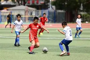 多伦多猛龙,队提前半月,抵达复赛地,宝威体育官网,APP下载,注册领彩金,官方网站,网站入口