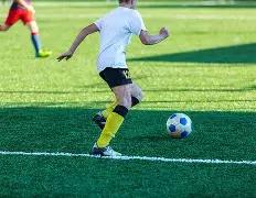 网友悲悼宠,物狗托运不,幸离世,宝威体育官网,APP下载,注册领彩金,官方网站,网站入口