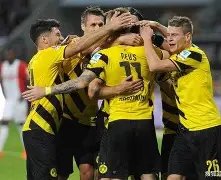 网友悲悼宠,物狗托运不,幸离世,宝威体育官网,APP下载,注册领彩金,官方网站,网站入口