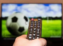 新加坡网球,公开赛蓄势,待发,宝威体育官网,APP下载,注册领彩金,官方网站,网站入口