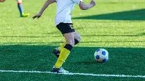 网友悲悼宠物狗托运不幸离世，陈乔恩深情发文力挺