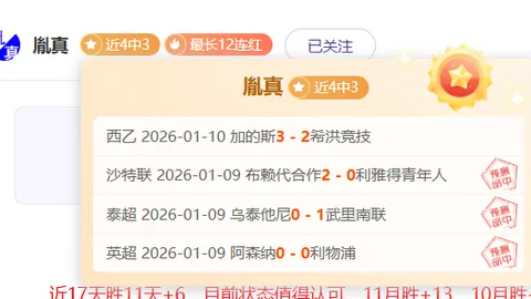 印度羽毛球公开赛：安赛龙与李卓耀逆势逆转，共创决赛佳绩